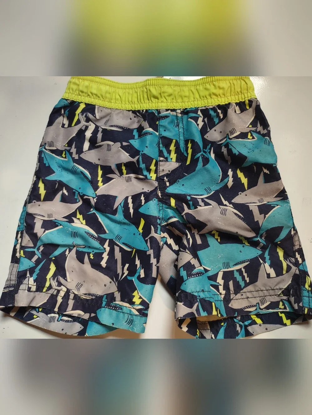 1989 Place Shark Swim Shorts
